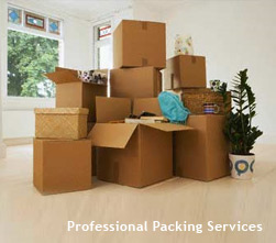 packing-services1